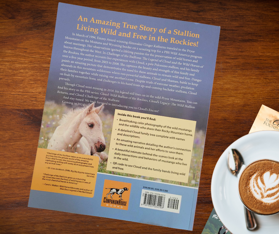NEW DESIGN! * Cloud: Challenge of the Stallions! — The Cloud